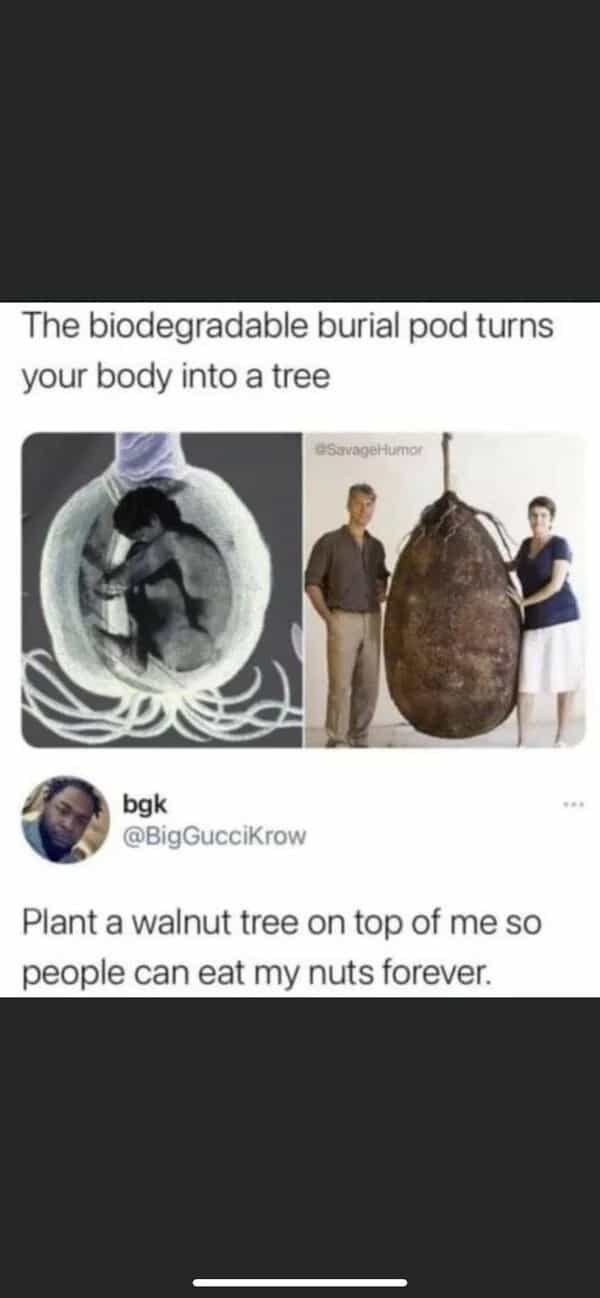 The biodegradable burial pod turns your body into a tree @SavageHumor bgk @BigGucciKrow Plant a walnut tree on top of me so people can eat my nuts forever.