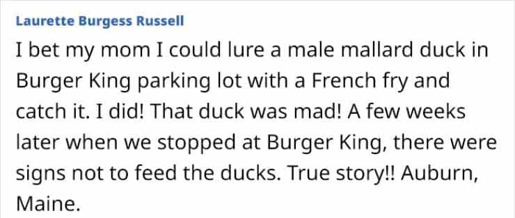 I bet my mom I could lure a male mallard duck in Burger King parking lot with a French fry and catch it. I did! That duck was mad! A few weeks later when we stopped at Burger King, there were signs not to feed the ducks. True story!! Auburn, Maine.