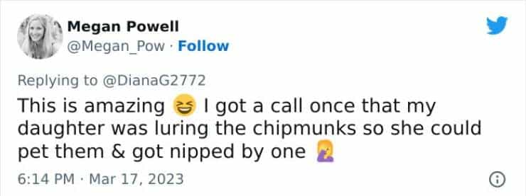 This is amazing & I got a call once that my daughter was luring the chipmunks so she could pet them & got nipped by one