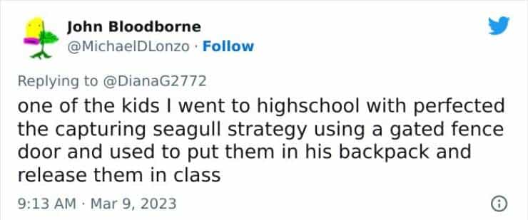 one of the kids I went to highschool with perfected the capturing seagull strategy using a gated fence door and used to put them in his backpack and release them in class