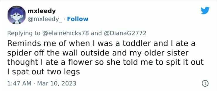 Reminds me of when I was a toddler and I ate a spider off the wall outside and my older sister thought I ate a flower so she told me to spit it out spat out two legs