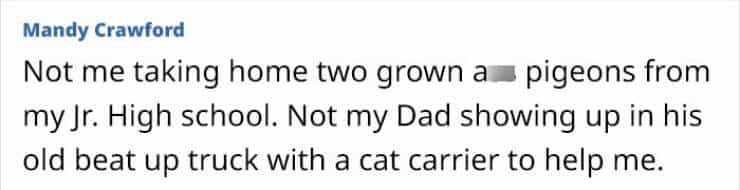 Not me taking home two grown a pigeons from my Jr. High school. Not my Dad showing up in his old beat up truck with a cat carrier to help me.