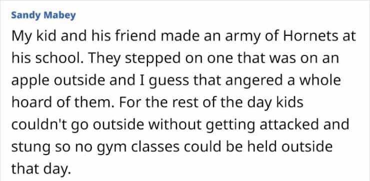 My kid and his friend made an army of Hornets at his school. They stepped on one that was on an apple outside and I guess that angered a whole hoard of them. For the rest of the day kids couldn't go outside without getting attacked and stung so no gym classes could be held outside that day.