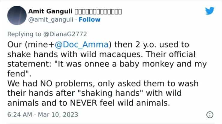 Our (mine+@Doc_Amma) then 2 y.o. used to shake hands with wild macaques. Their official statement: "It was onnee a baby monkey and my fend". We had NO problems, only asked them to wash their hands after "shaking hands" with wild animals and to NEVER feel wild animals.