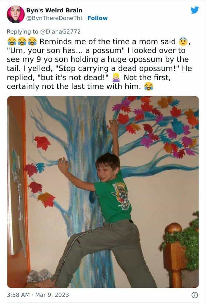 Reminds me of the time a mom said 63, "Um, your son has... a possum" | looked over to see my 9 yo son holding a huge opossum by the tail. I yelled, "Stop carrying a dead opossum!" He replied, "but it's not dead!" Not the first, certainly not the last time with him.
