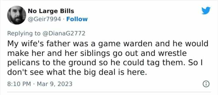 My wife's father was a game warden and he would make her and her siblings go out and wrestle pelicans to the ground so he could tag them. So I don't see what the big deal is here.