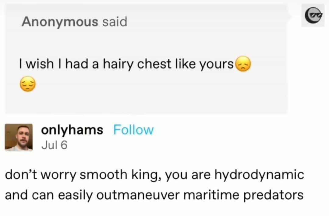 I wish I had a hairy chest like yours smooth king