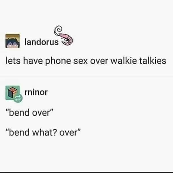 lets have phone sex over walkie talkies