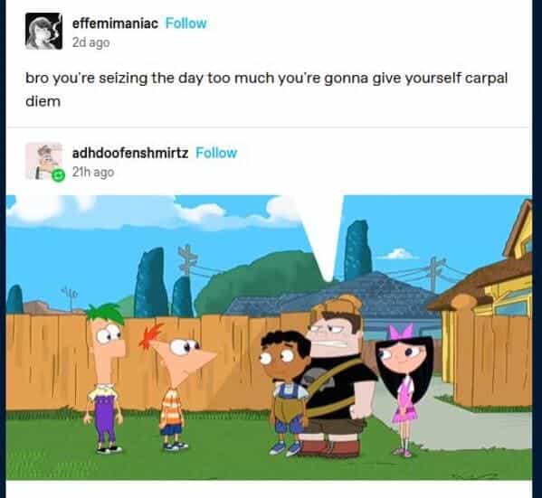 bro you're seizing the day too much you're gonna give yourself carpal diem