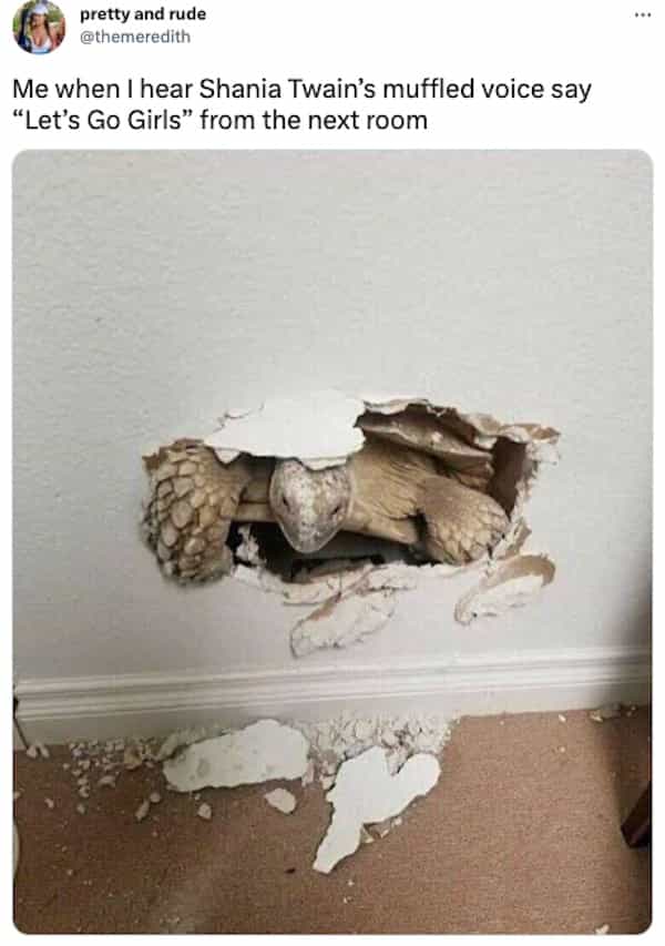 Me when I hear Shania Twain's muffled voice say "Let's Go Girls" from the next room