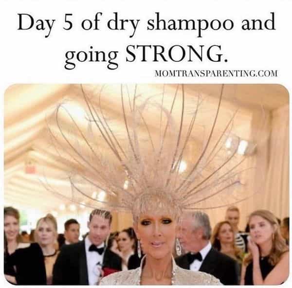 Day 5 of dry shampoo and going STRONG.