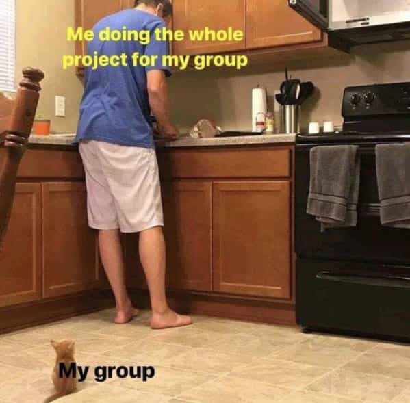 Me doing the whole project for my group My group cat looking