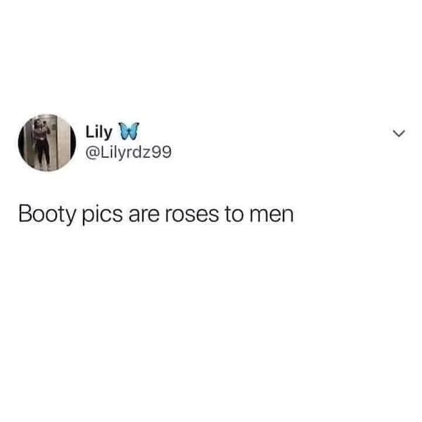 meme dump