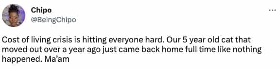Cost of living crisis is hitting everyone hard. Our 5 year old cat that moved out over a year ago just came back home full time like nothing happened. Ma'am