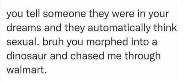 you tell someone they were in your dreams and they automatically think sexual. bruh you morphed into a dinosaur and chased me through walmart.