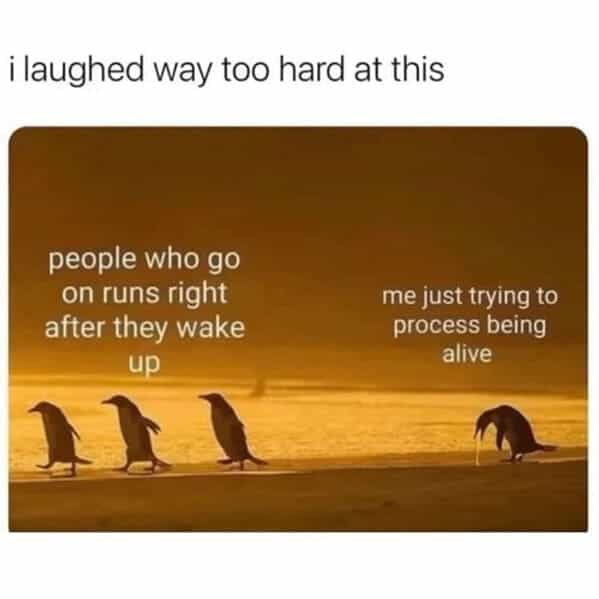 ilaughed way too hard at this people who go on runs right after they wake up me just trying to process being alive
