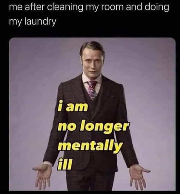me after cleaning my room and doing my laundry i am no longer mentally ill