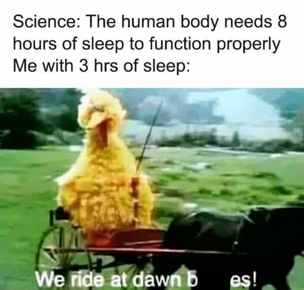 Science: The human body needs 8 hours of sleep to function properly Me with 3 hrs of sleep: We ride at dawn