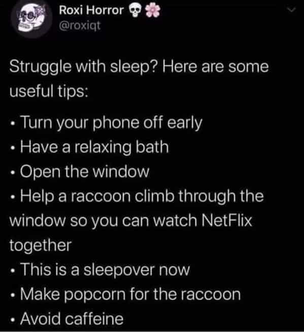 Struggle with sleep? Here are some useful tips: Turn your phone off early • Have a relaxing bath • Open the window • Help a raccoon climb through the window so you can watch NetFlix together • This is a sleepover now • Make popcorn for the raccoon • Avoid caffeine