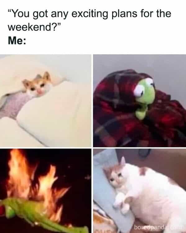 "You got any exciting plans for the weekend?" Me: