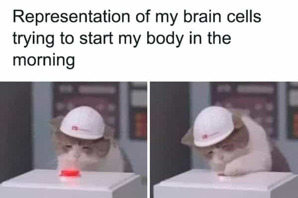 Representation of my brain cells trying to start my body in the morning