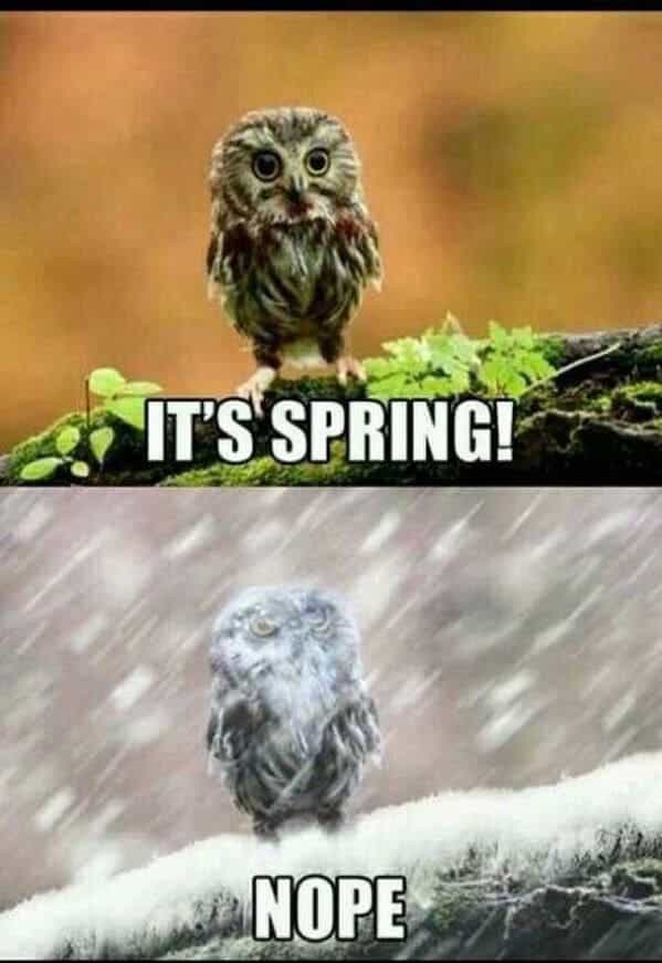 IT'S SPRING! NOPE