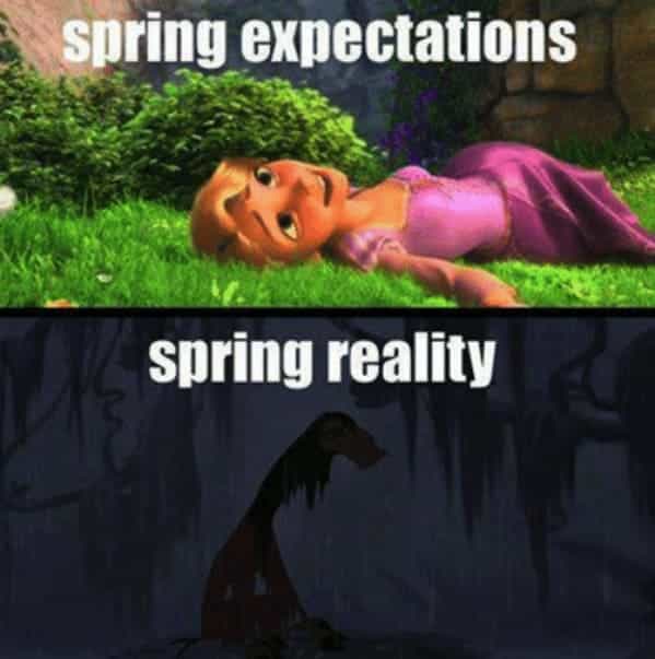 spring expectations spring reality