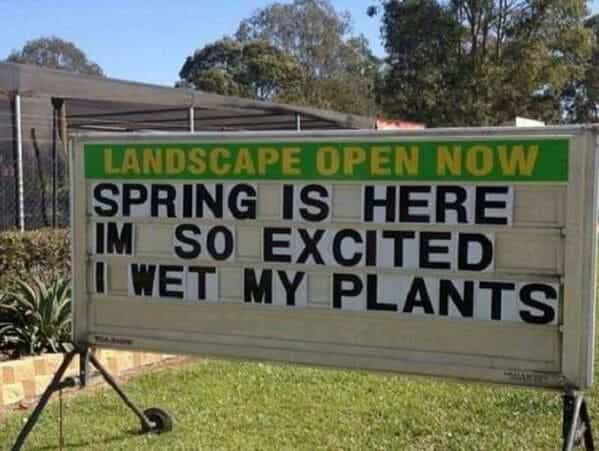 SPRING IS HERE IM SO EXCITED |I WET MY PLANTS