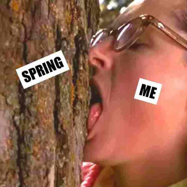 SPRING ME