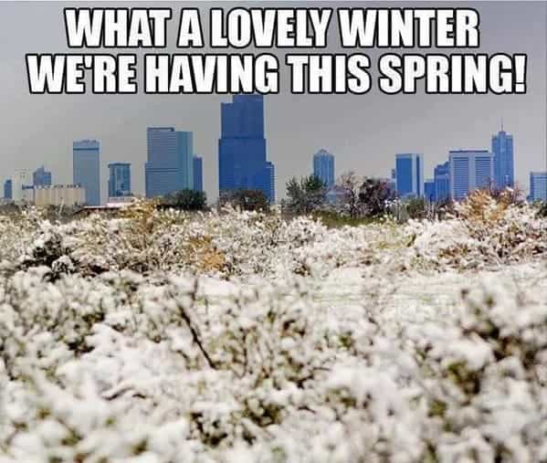WHAT A LOVELY WINTER WE'RE HAVING THIS SPRING!