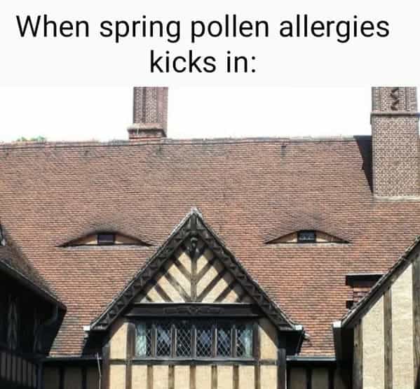 When spring pollen allergies kicks in: