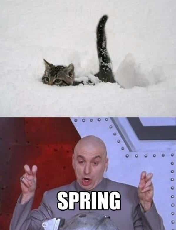 spring dr evil