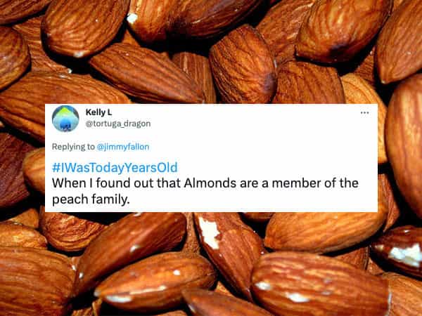#WasTodayYearsOld When I found out that Almonds are a member of the peach family.