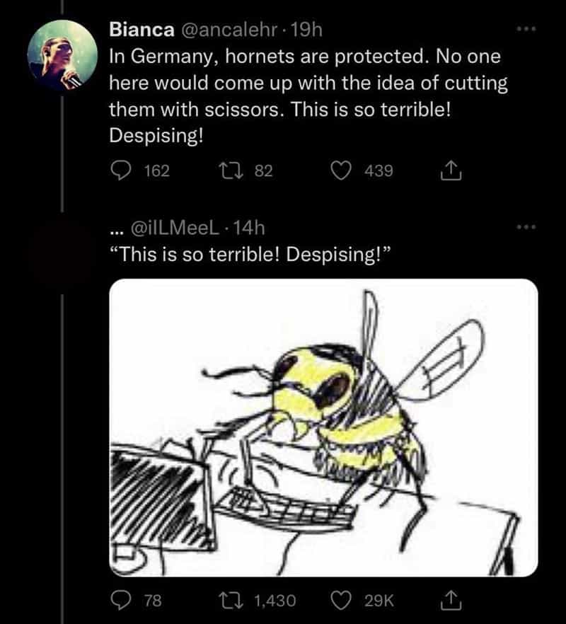 In Germany, hornets are protected. No one here would come up with the idea of cutting them with scissors. This is so terrible! Despising! "This is so terrible! Despising!"