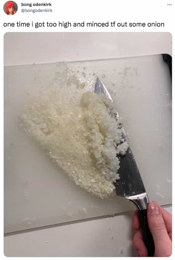 one time i got too high and minced tf out some onion