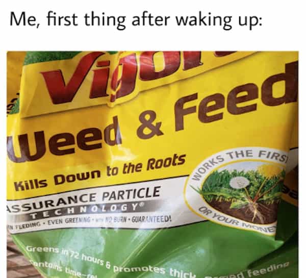 Me, first thing after waking up: Weed & Feed