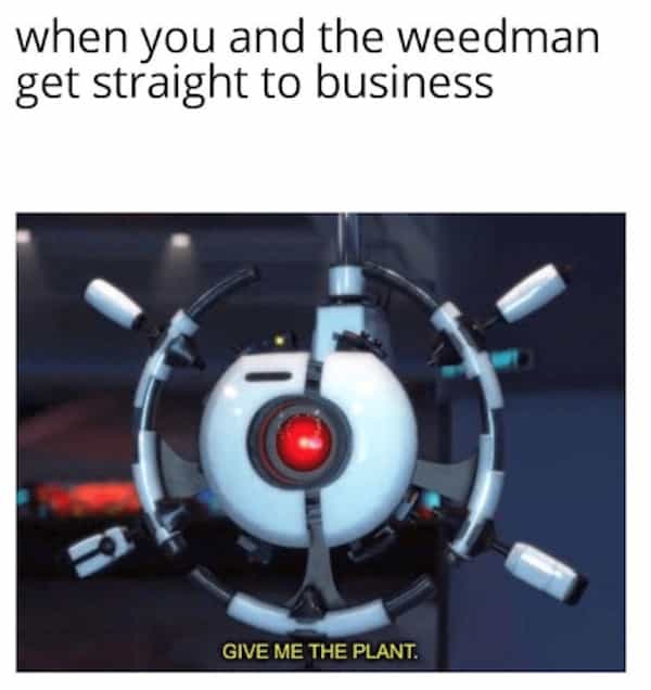 when you and the weedman get straight to business GIVE ME THE PLANT.