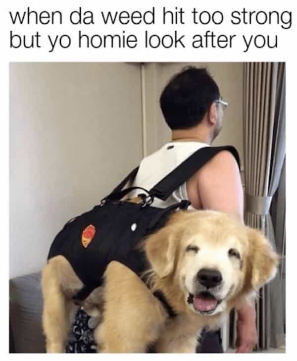 when da weed hit too strong but yo homie look after you