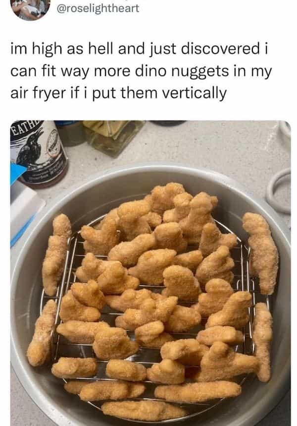 im high as hell and just discovered i can fit way more dino nuggets in my air fryer if i put them vertically