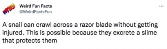 weird facts