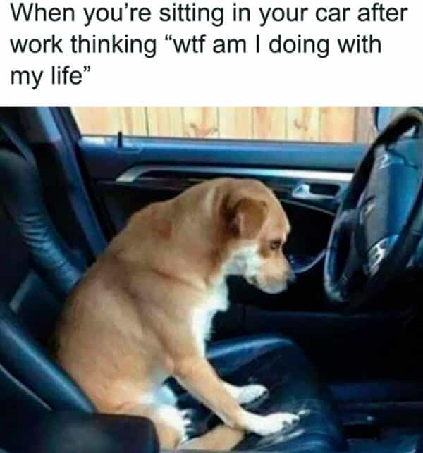When you're sitting in your car after work thinking "wtf am I doing with my life"