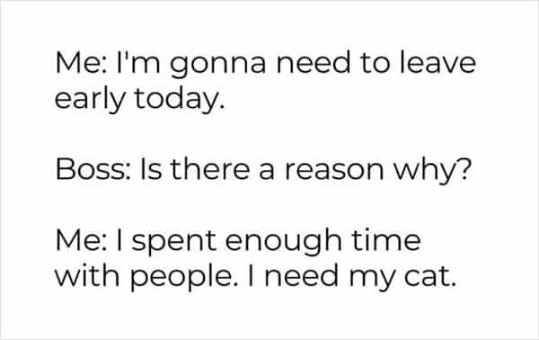 Me: I'm gonna need to leave early today. Boss: Is there a reason why? Me: I spent enough time with people. I need my cat.