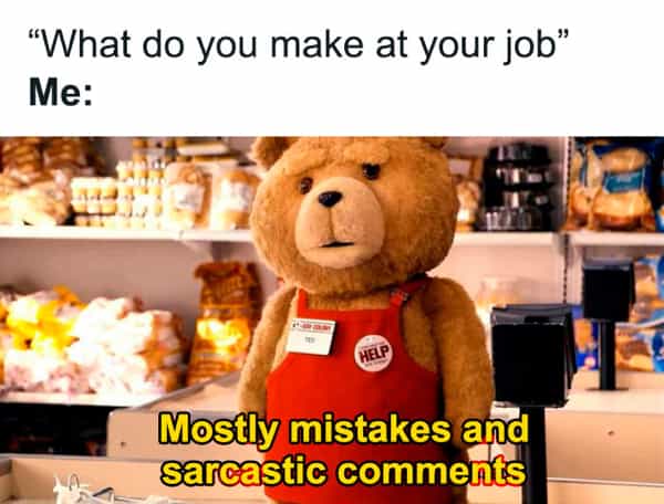 "What do you make at your job" Me: 4 Mostly mistakes and sarcastic comments
