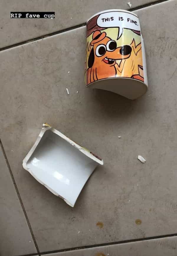 this is fine broken cup