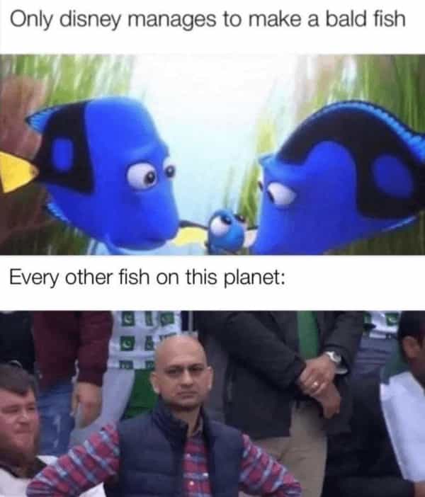 Only disney manages to make a bald fish Every other fish on this planet:
