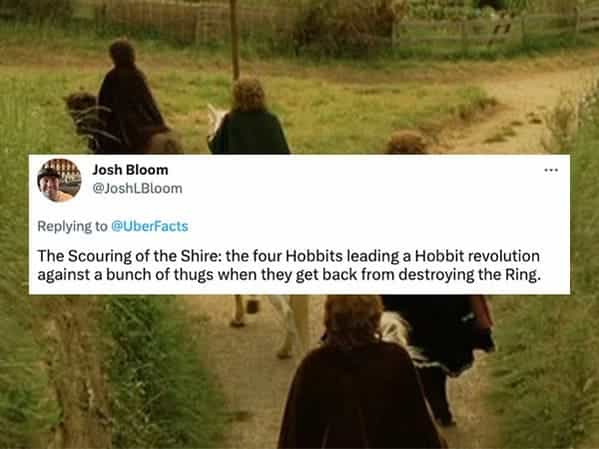 The Scouring of the Shire: the four Hobbits leading a Hobbit revolution against a bunch of thugs when they get back from destroying the Ring.