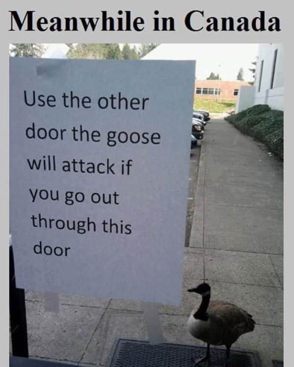 canada memes
