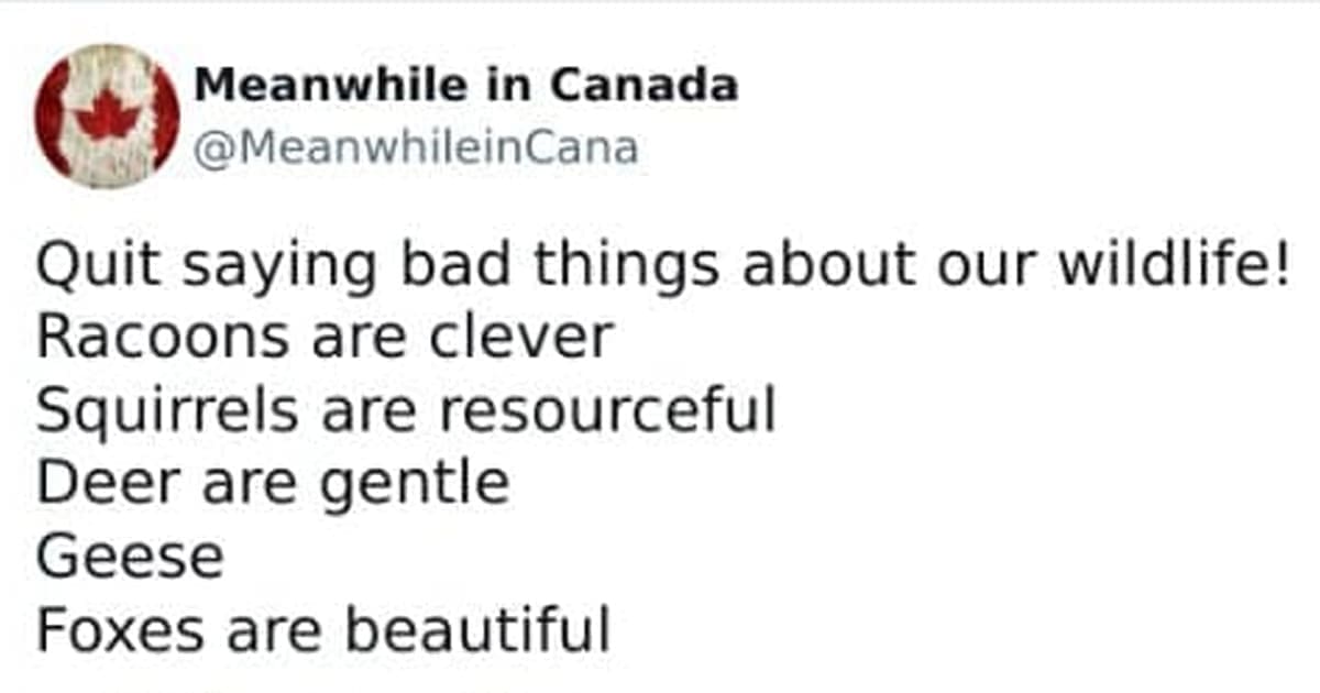 canada memes