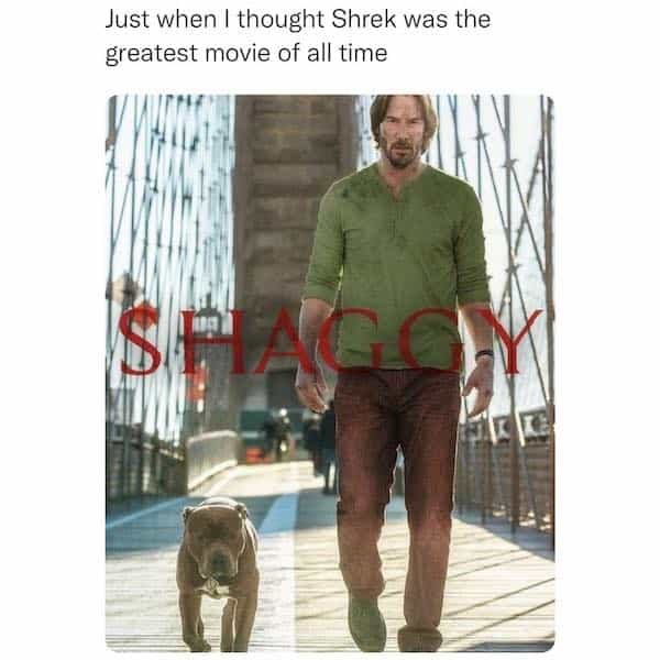 Just when I thought Shrek was the greatest movie of all time SHAGGY