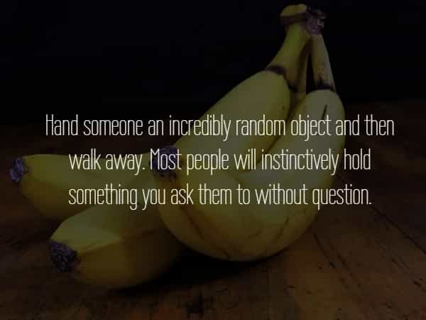 Hiland someone an incredibly random obiect and then walk away Most people wil instinctively hold something you ask them to without question.